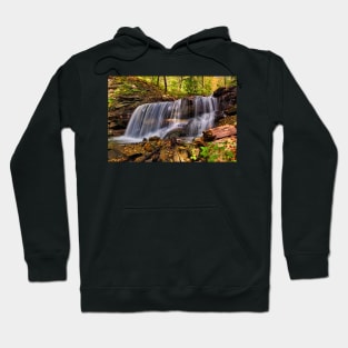 Forest waterfall Hoodie